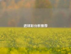 进球彩分析推荐