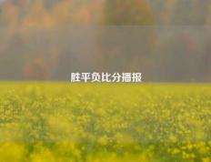 胜平负比分播报