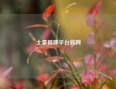 土豪棋牌平台官网