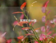 足球比分360足