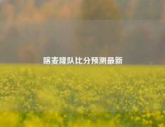 喀麦隆队比分预测最新