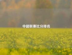 中超联赛比分排名