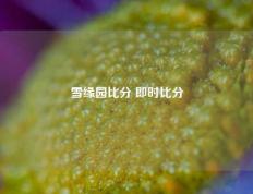 雪缘园比分 即时比分