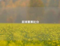 足球赛果比分