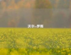 沃尔vs罗斯