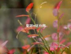 皇冠90比分网