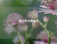 德乙积分榜排行