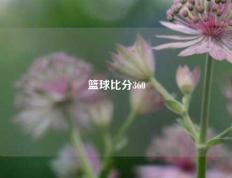 篮球比分360