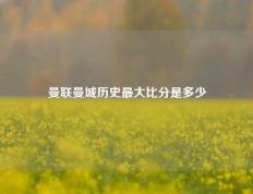 曼联曼城历史最大比分是多少