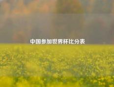 中国参加世界杯比分表