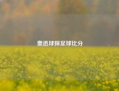 奥迅球探足球比分