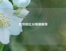 欧协联比分预测推荐