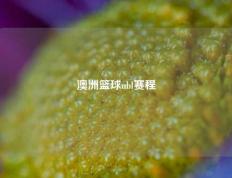 澳洲篮球nbl赛程
