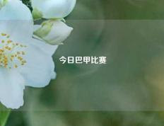今日巴甲比赛