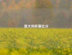 意大利杯赛比分