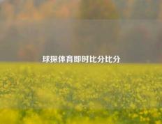 球探体育即时比分比分
