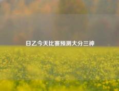 日乙今天比赛预测大分三神
