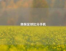 体探足球比分手机