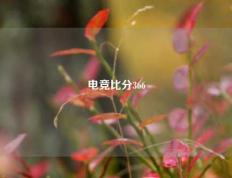 电竞比分366