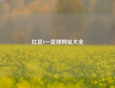 红足1一足球网址大全