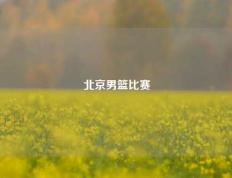 北京男篮比赛