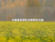 大赢家足球比分即时比分赢