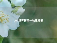 2002世界杯第一轮比分表