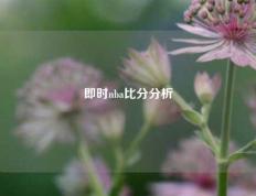 即时nba比分分析