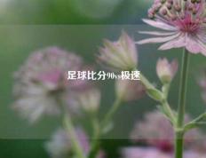 足球比分90vs极速