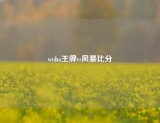 wnba王牌vs风暴比分