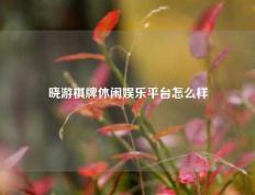 晓游棋牌休闲娱乐平台怎么样