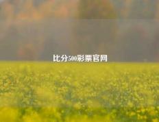 比分500彩票官网
