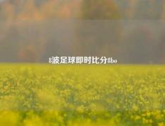 8波足球即时比分8bo