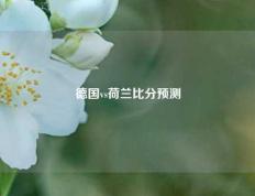 德国vs荷兰比分预测