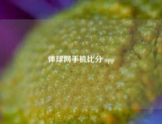 体球网手机比分 app