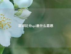足球比分up5是什么意思