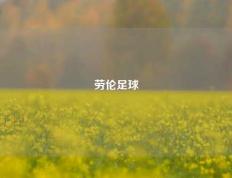劳伦足球
