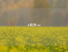 ds比分 ms