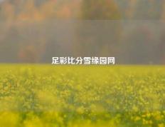 足彩比分雪缘园网