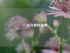 一比分即时官网