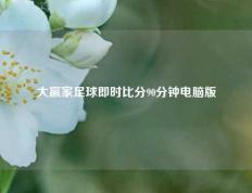 大赢家足球即时比分90分钟电脑版