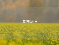 篮球比分 90