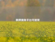 棋牌捕鱼平台可提现