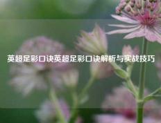 英超足彩口诀英超足彩口诀解析与实战技巧