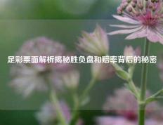 足彩票面解析揭秘胜负盘和赔率背后的秘密
