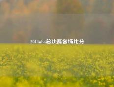 2014nba总决赛各场比分