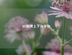 325棋牌上下分平台
