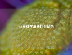 cba赛程季后赛比分结果