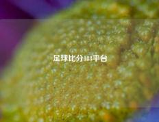 足球比分188平台