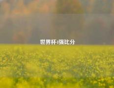 世界杯4强比分